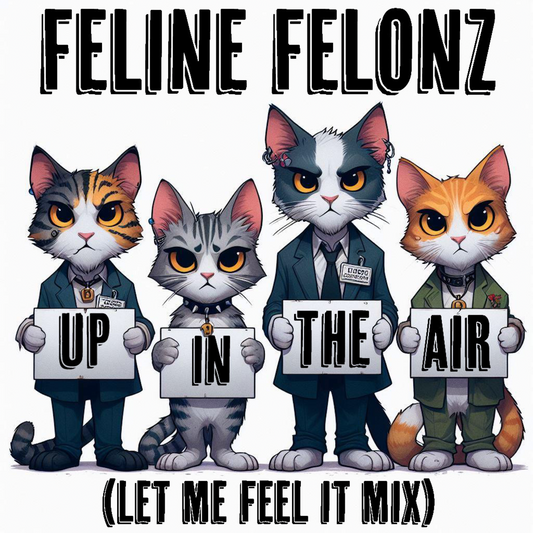 Up In the Air (Let Me Feel It Mix Radio Edit) (Download) EXPLICIT